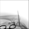 SPORK, NICO - 22.03.1976 - 04.08.2022 - Durchleuchtung UN OP - 10:59:22